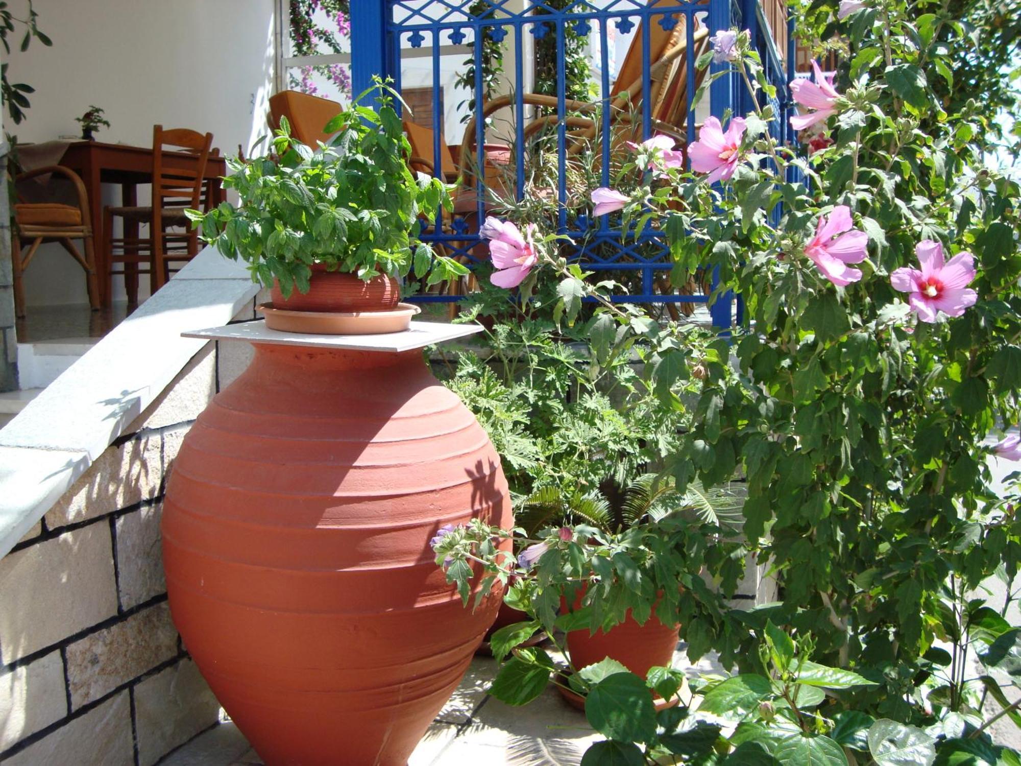 Vakhos Hotell Naxos City Exteriör bild